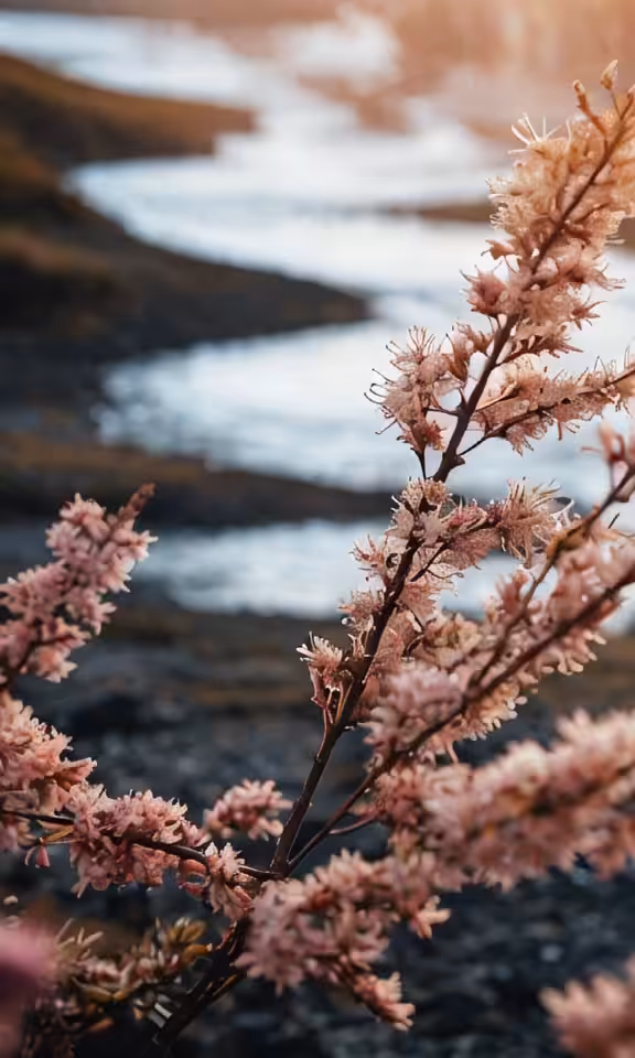 Inspiration Nature: Inspiration #5