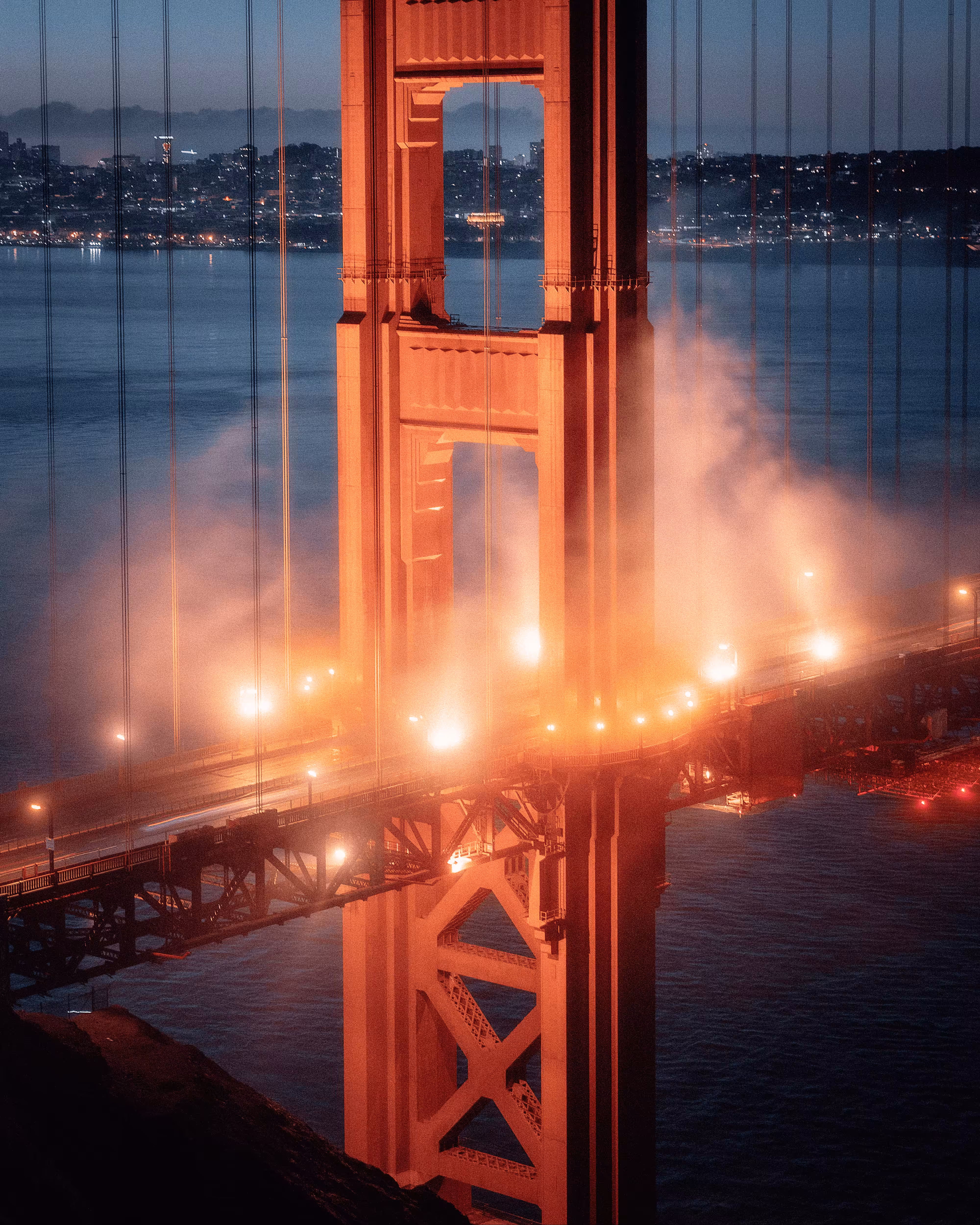 Bay Beginnings #44 // Hanging On