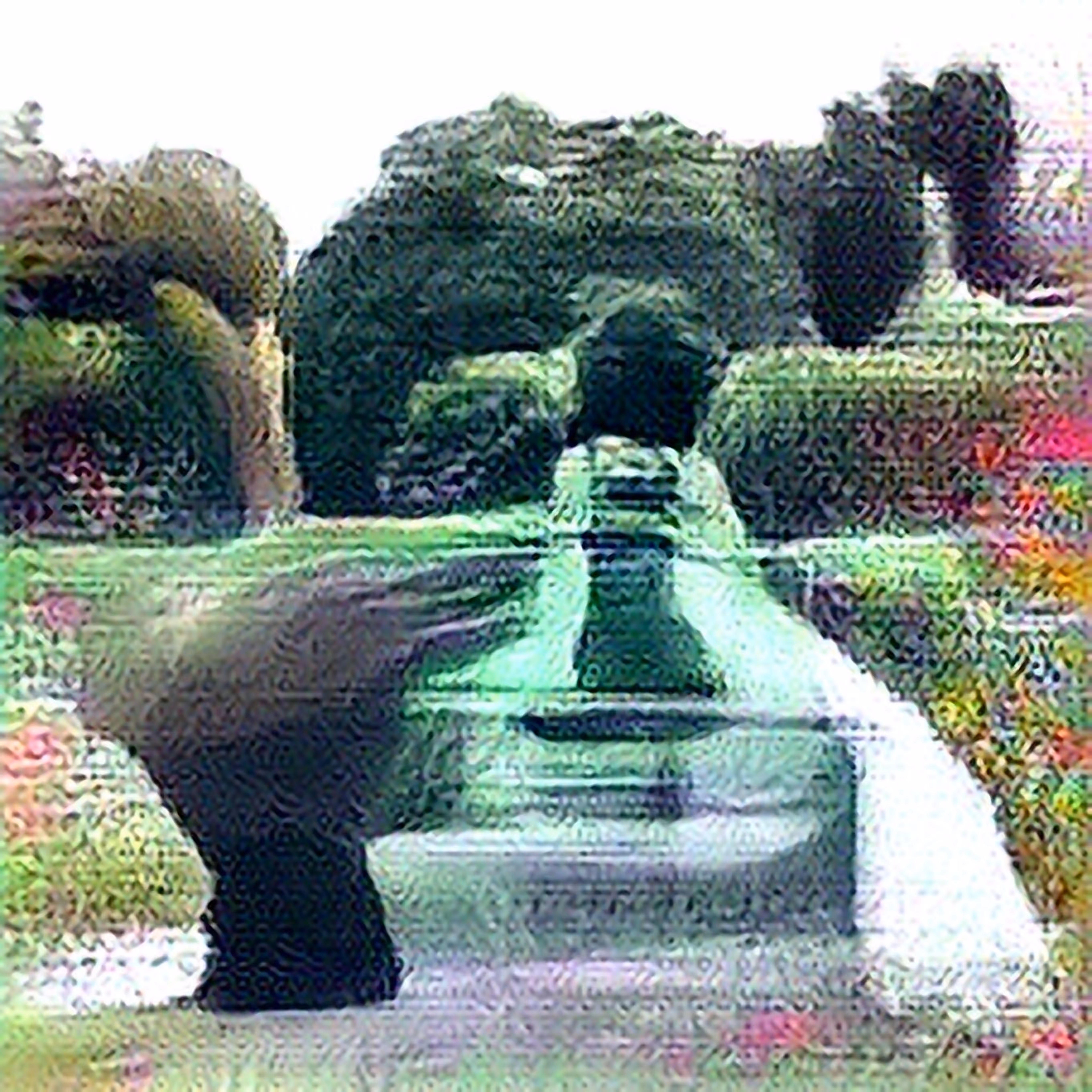 RaiSR RuiNS : RaiSR RuiNS_00051