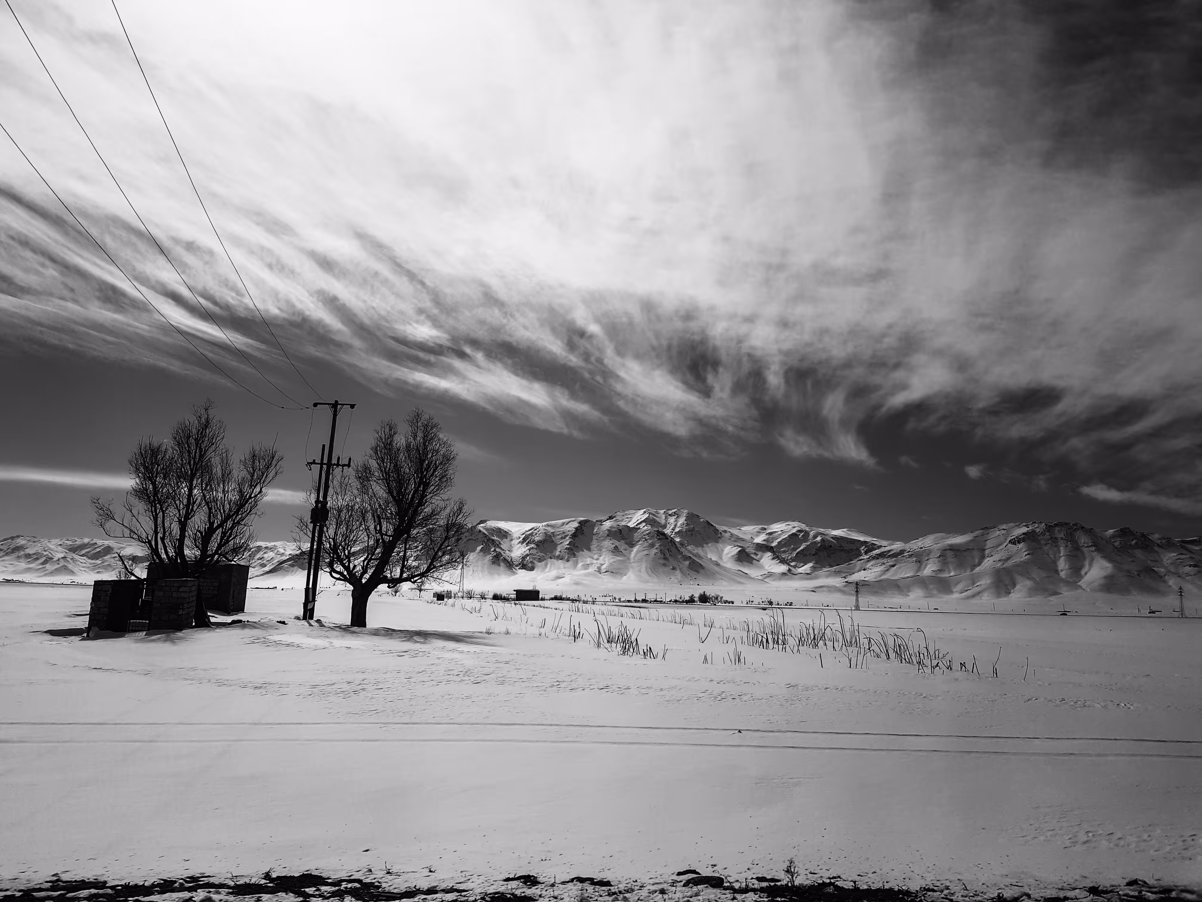 Solitude