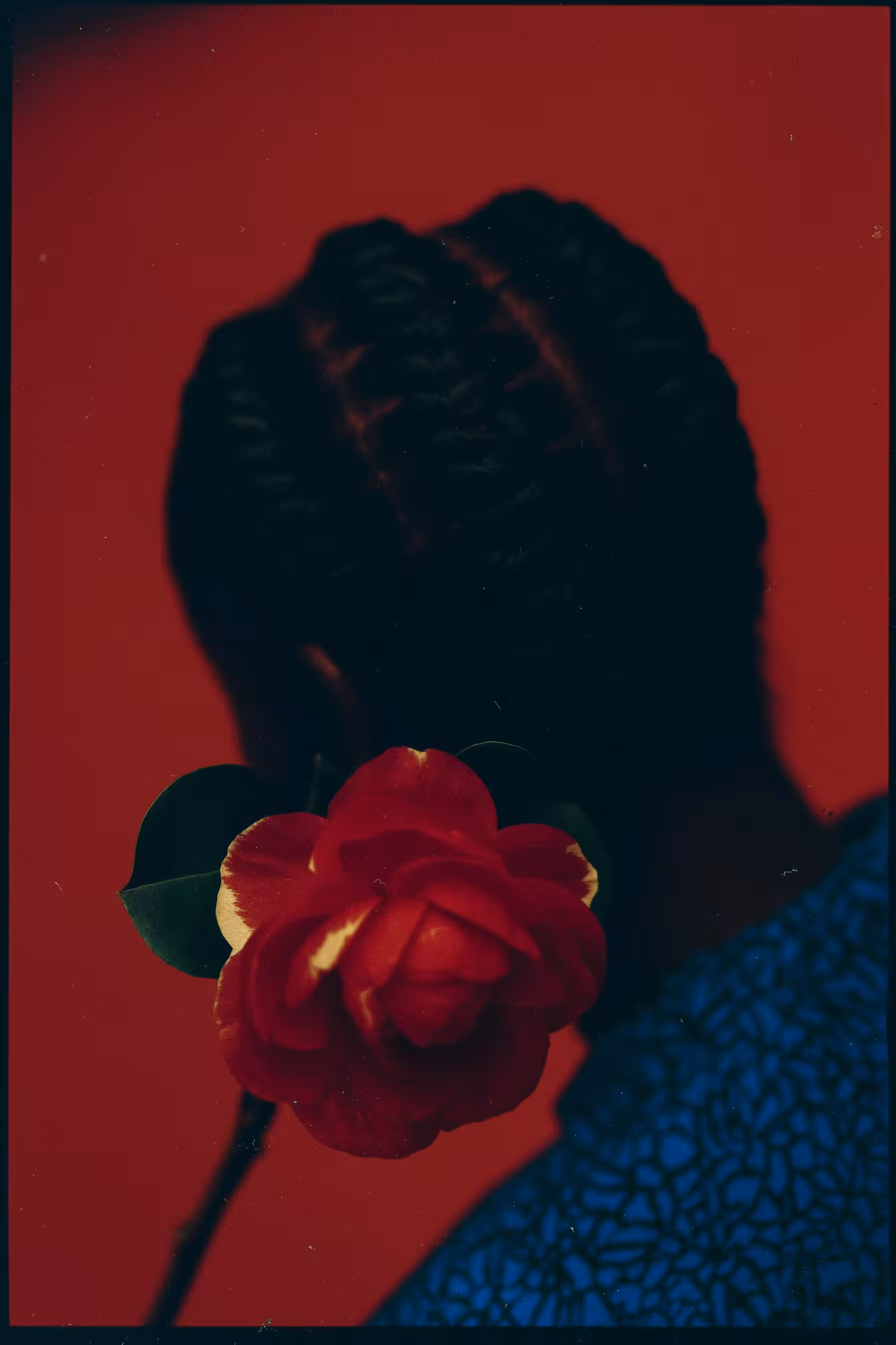 Scarlet