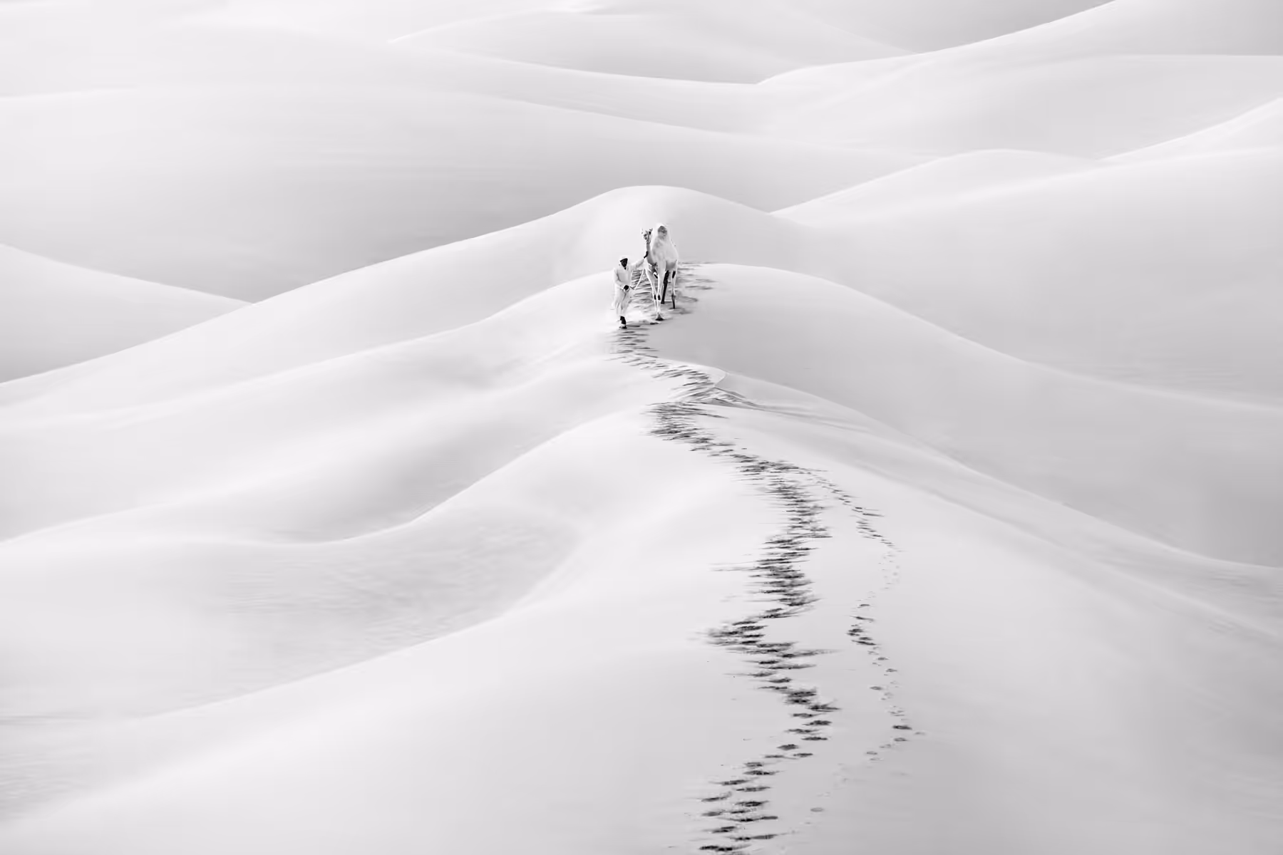 Lonesome Route (Award Winner)