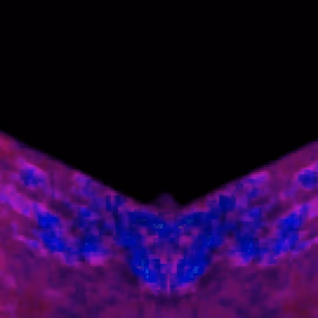 bksp Ø