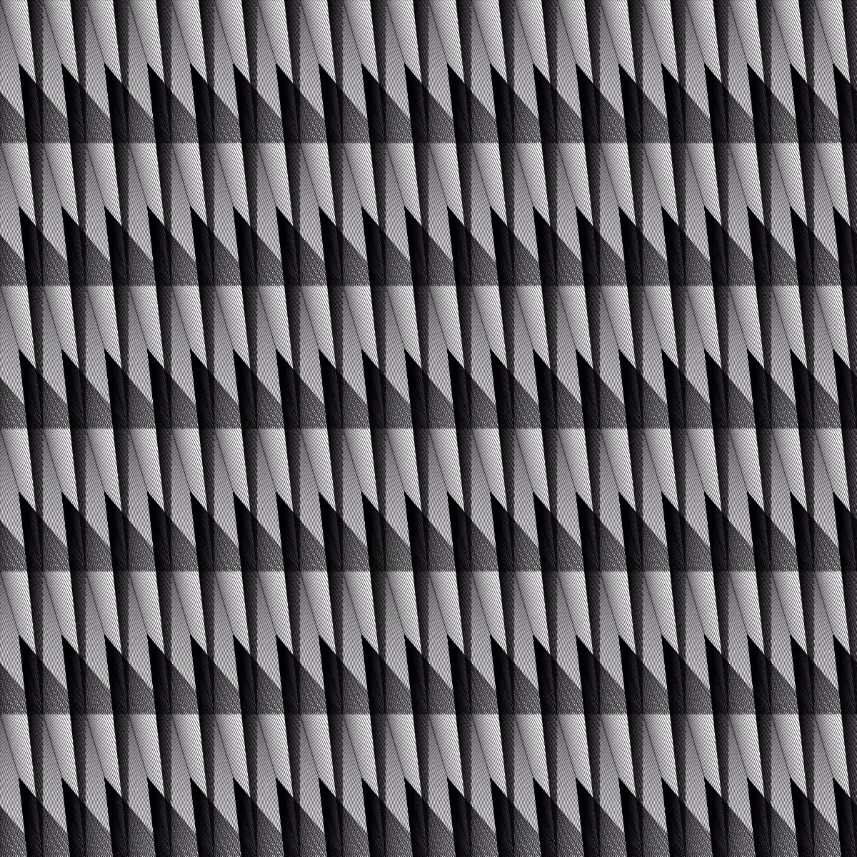 Noir et Blanc #113