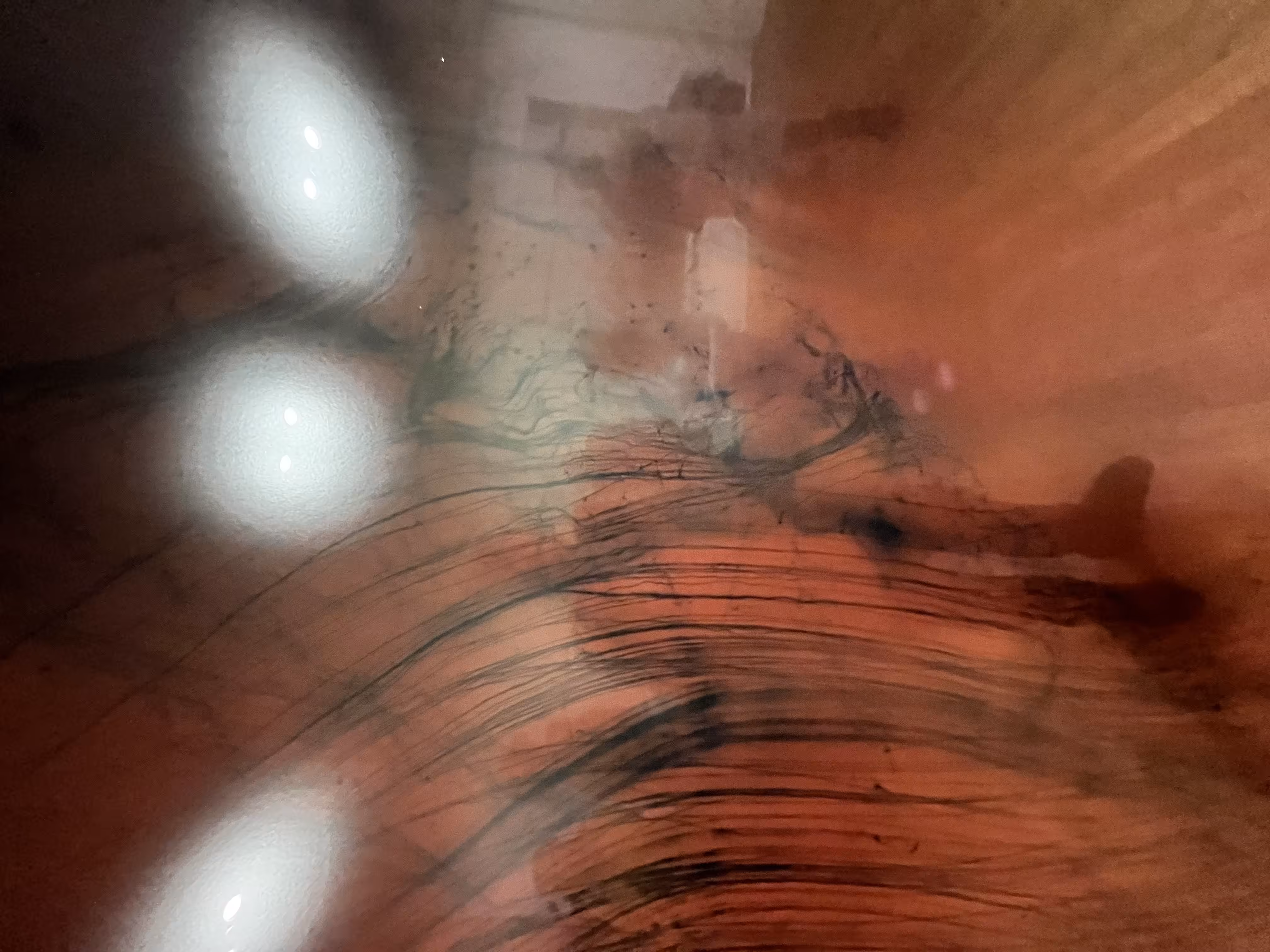 Photography: Reflections in Art