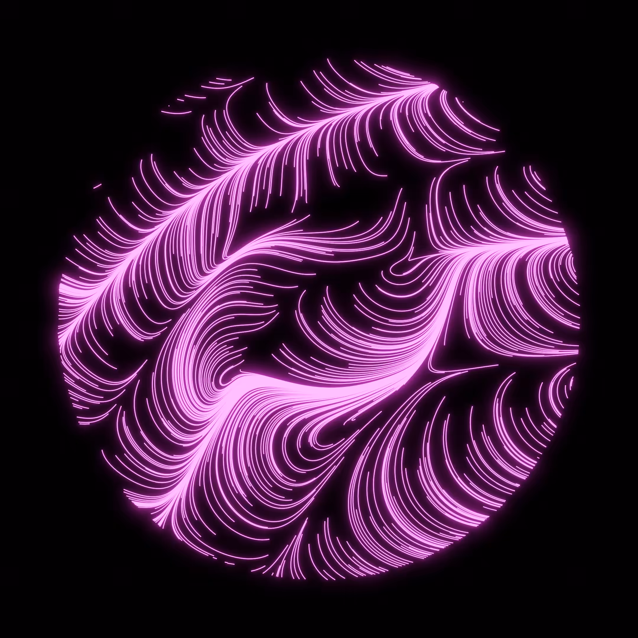 Vector Field 003