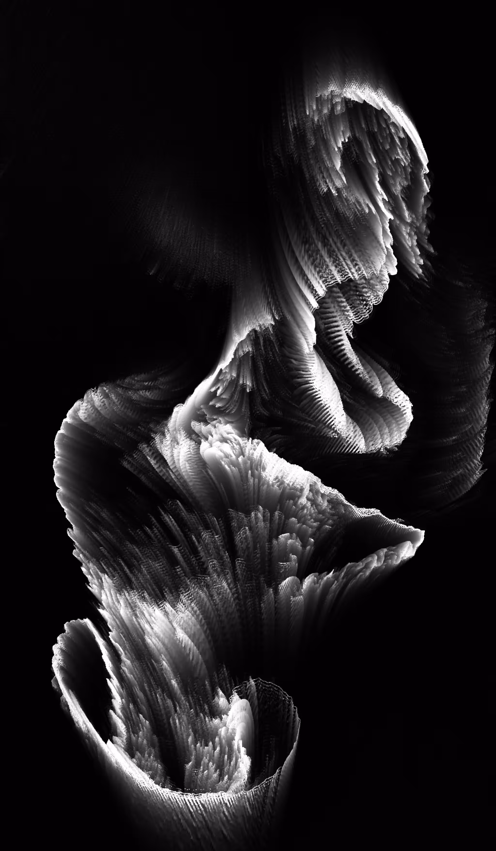 Xenoplankton III - Phycodurus
