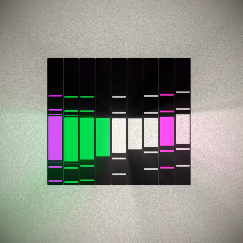 Lightbars #77
