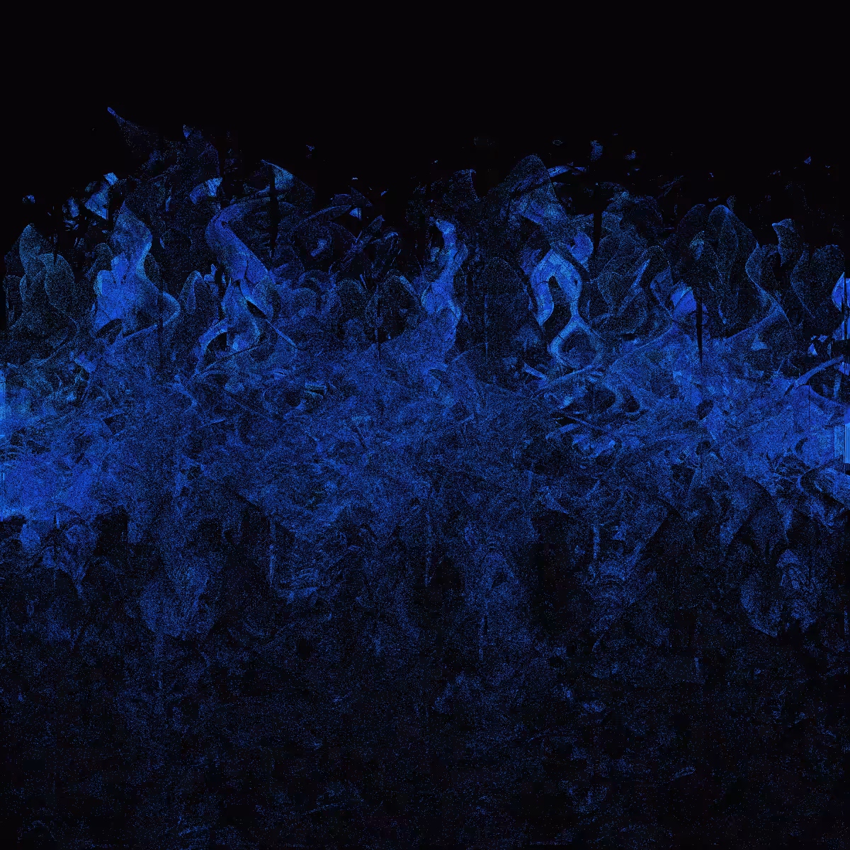 Sublimations #72