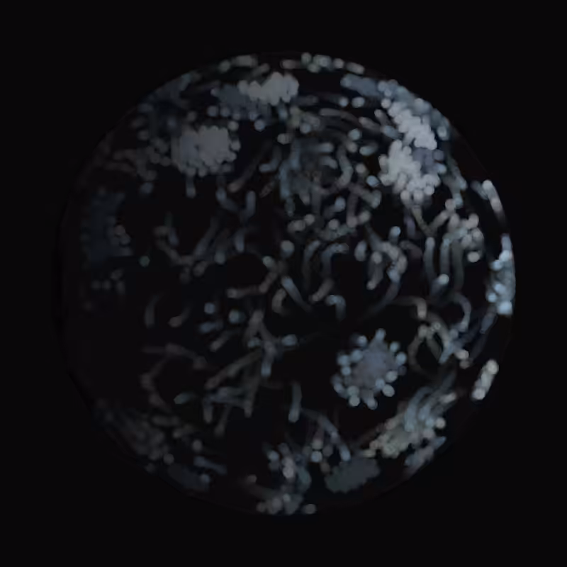 Earth #109
