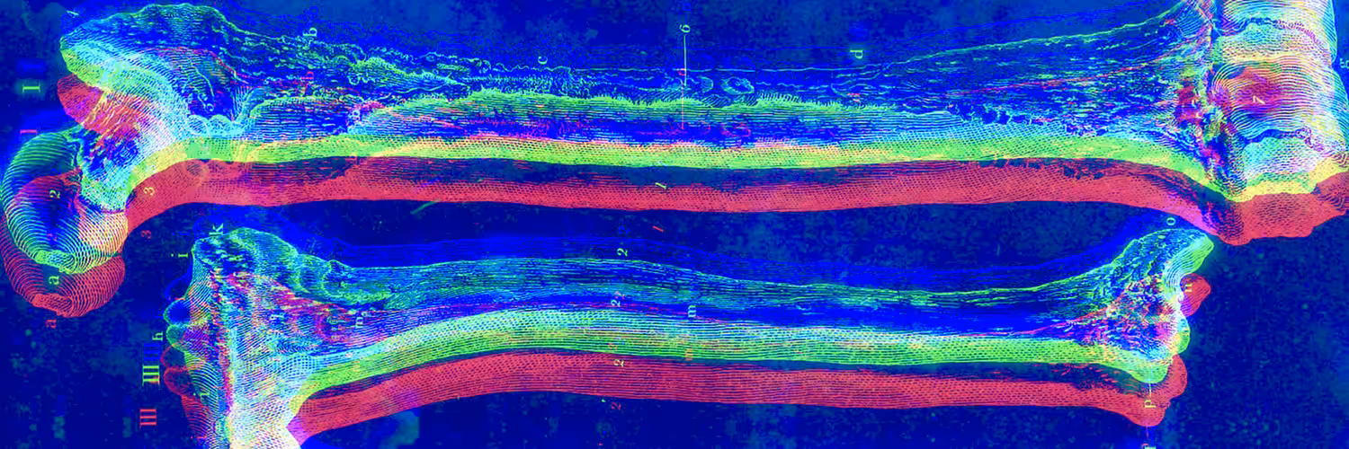Glitch Banner 73 (NFTerryBain)