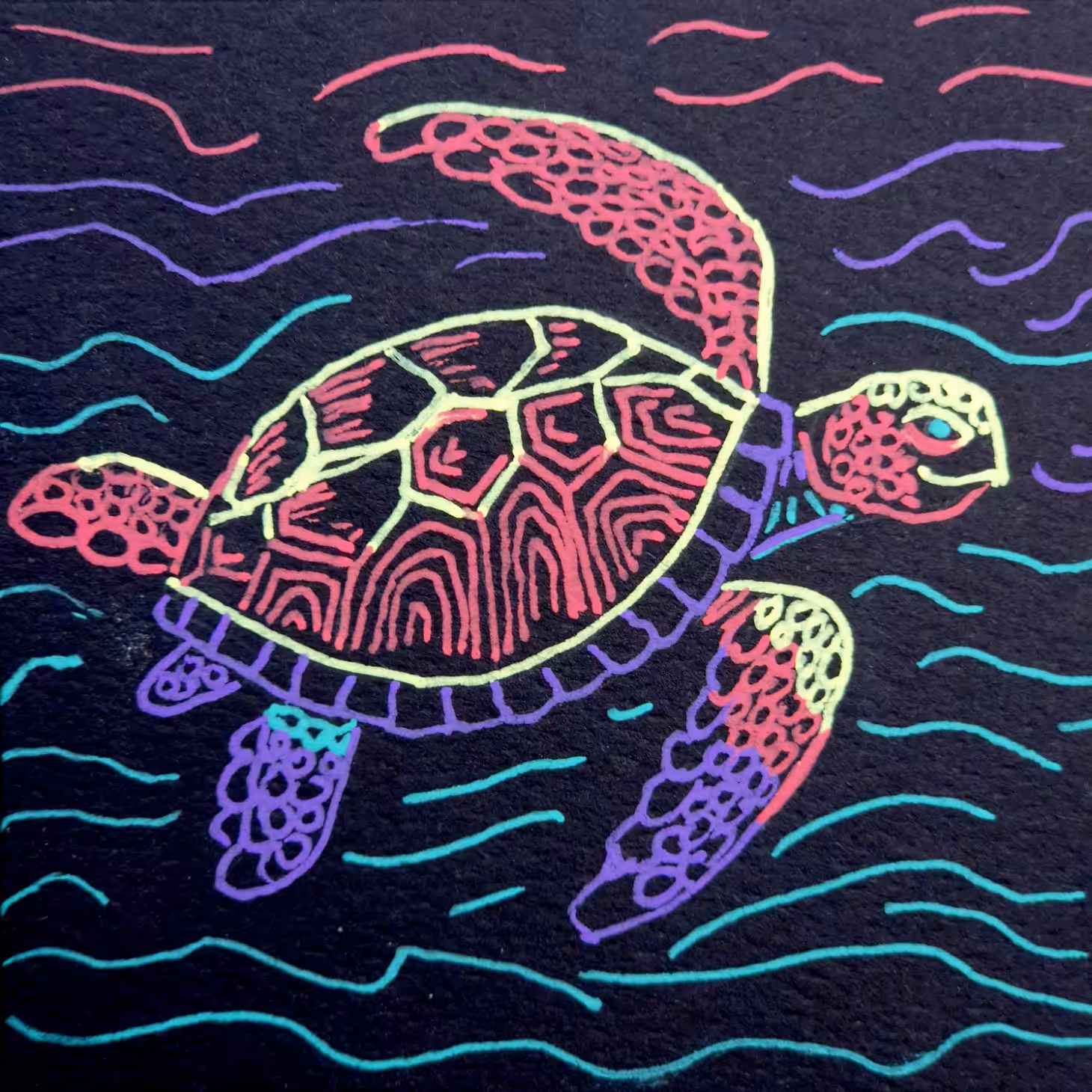 Turtle