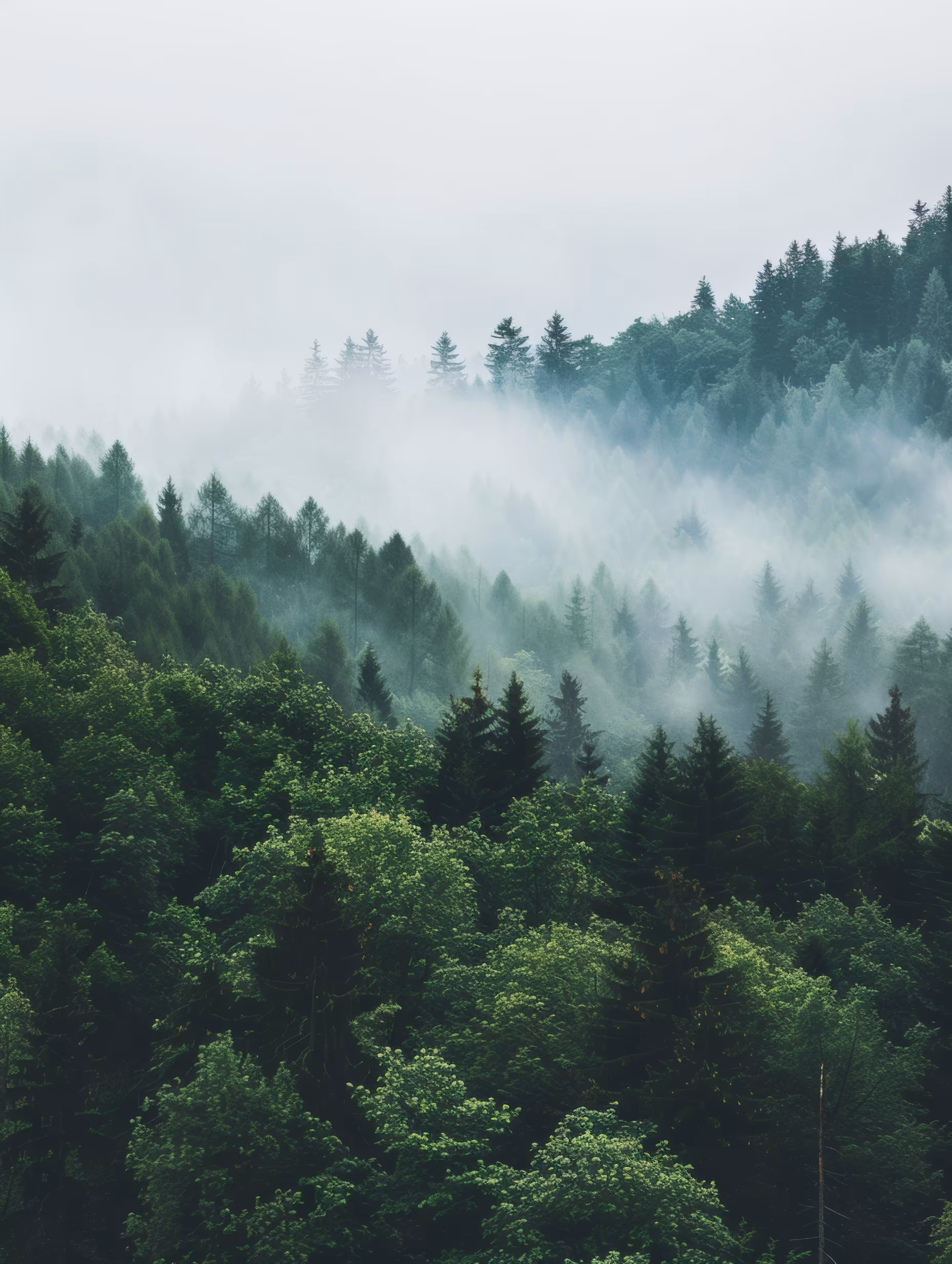 Breathe