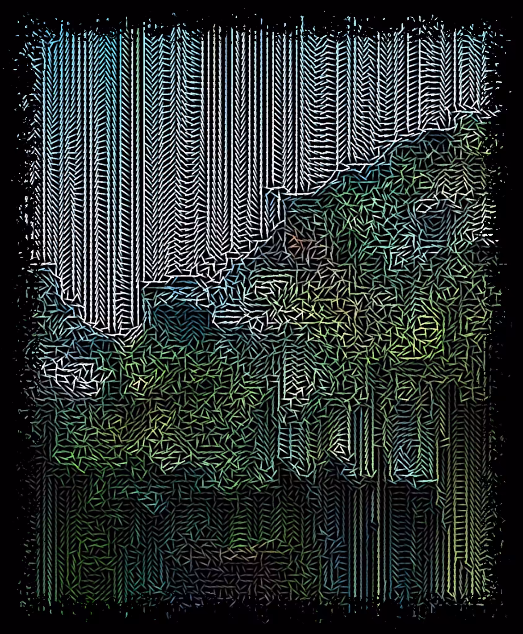 LOOK Closer