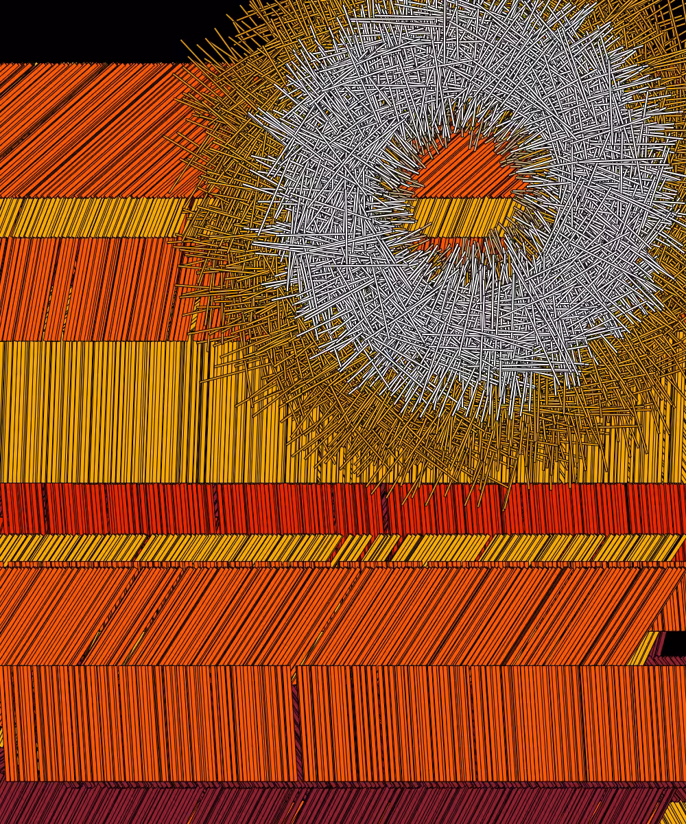 Shavings #57