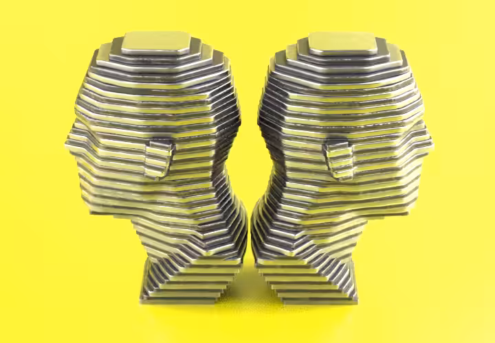 Janus Heads