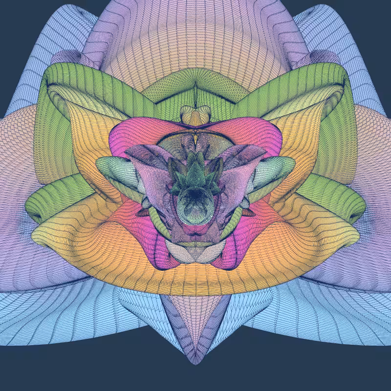 Zaratan #254