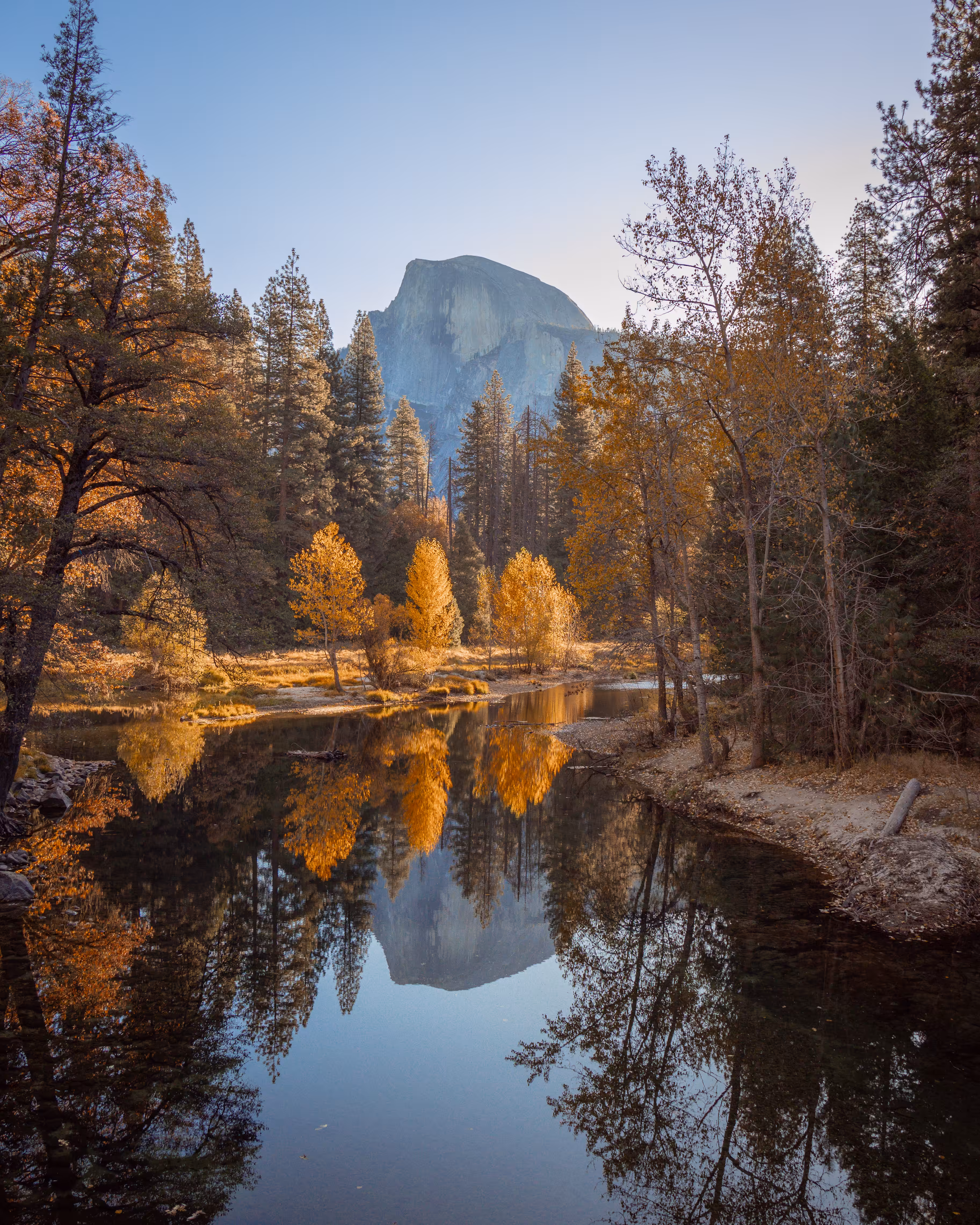 Reflections