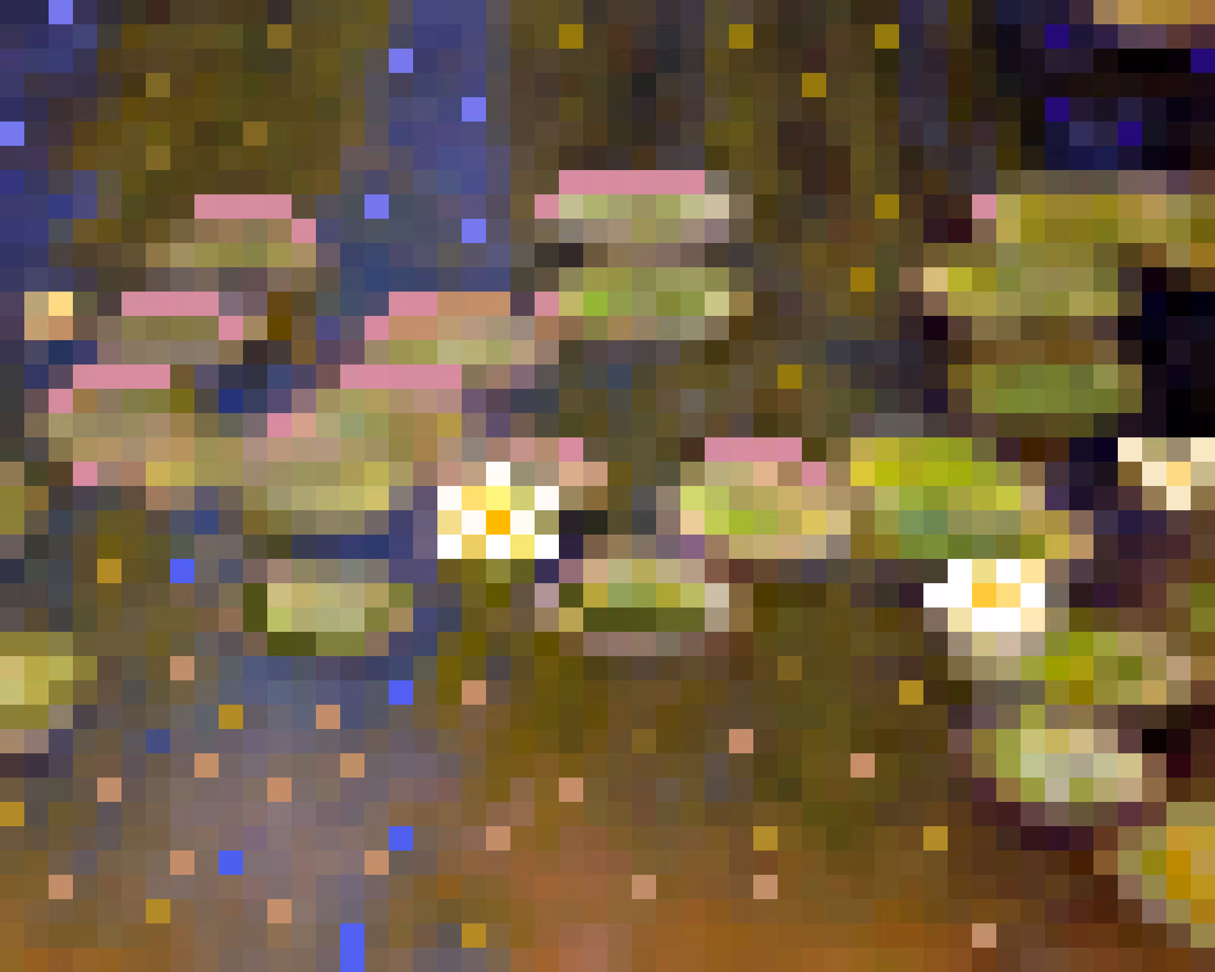 Water Lilies