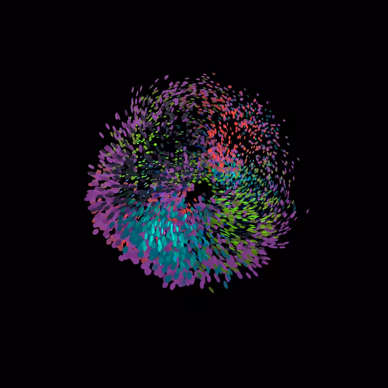 Murmuration #34