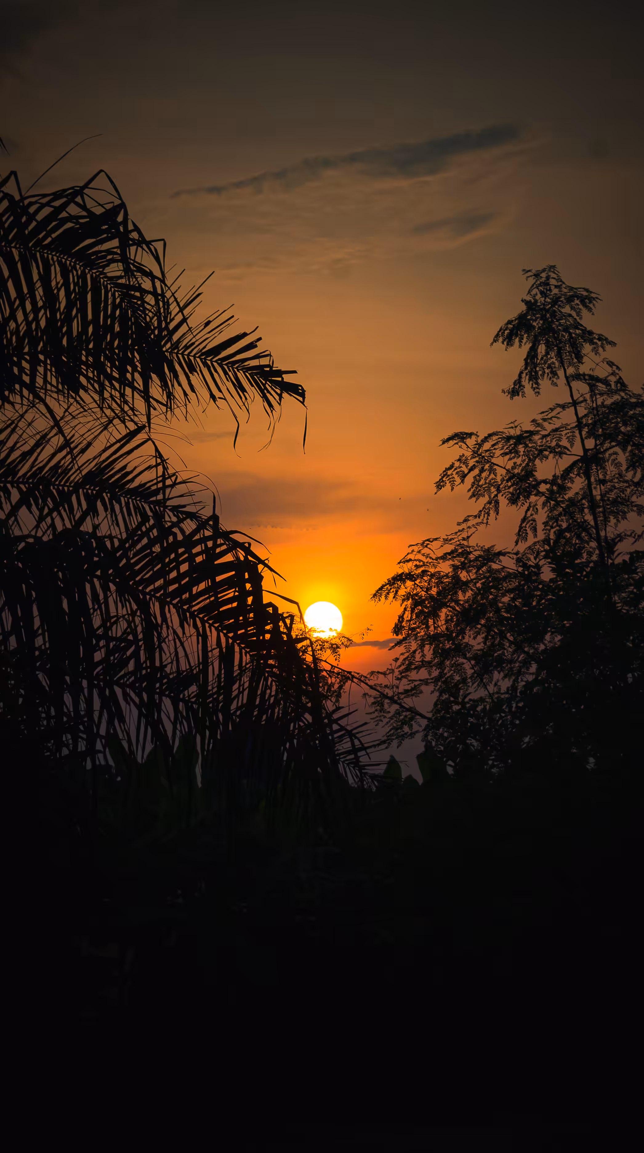 Chasing Sunset v