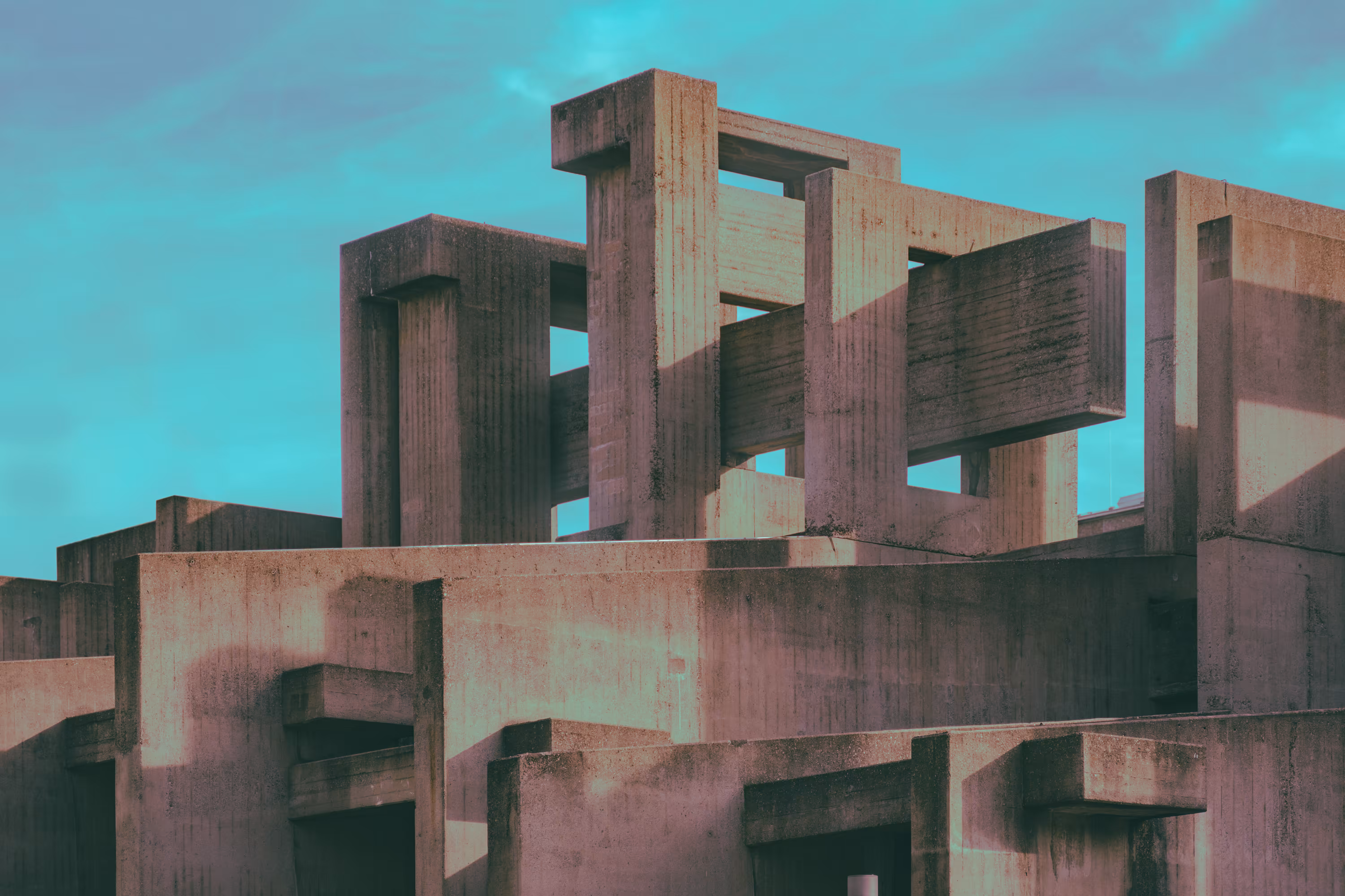 Brutalist Dreams¹