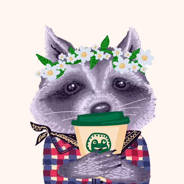 Cool Raccoon Collection #31