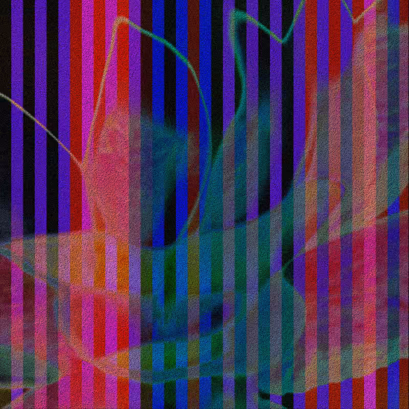 CLDCSMC #134