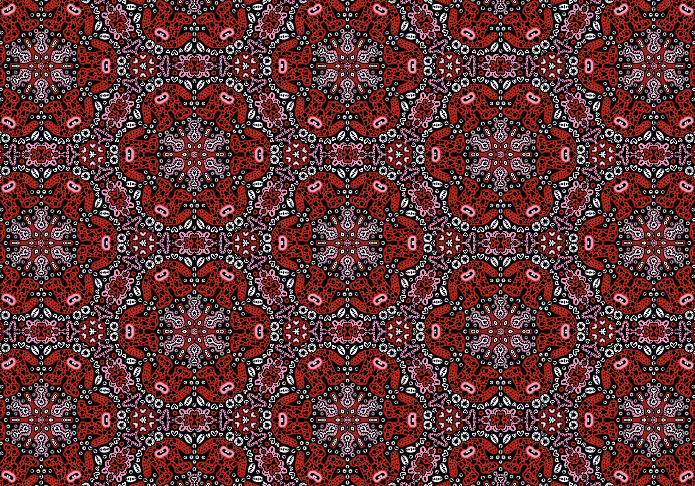 Naopifractus 009