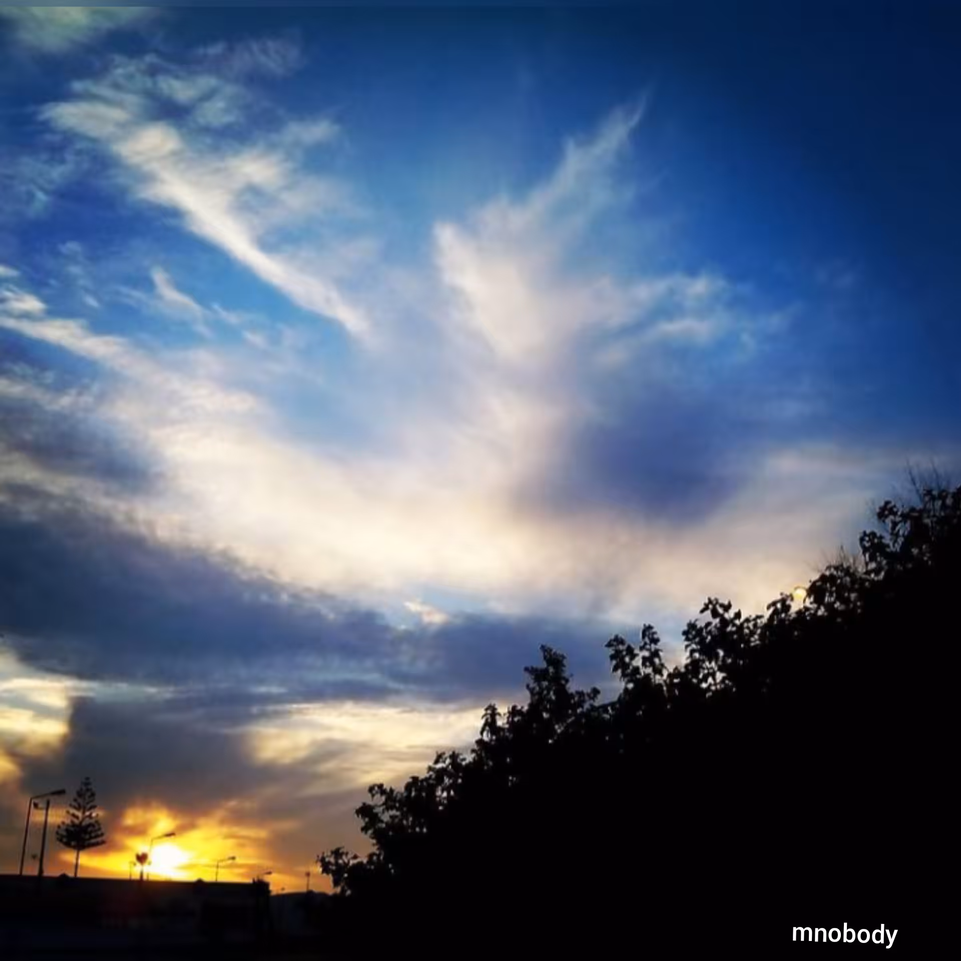 Sunset...landscape