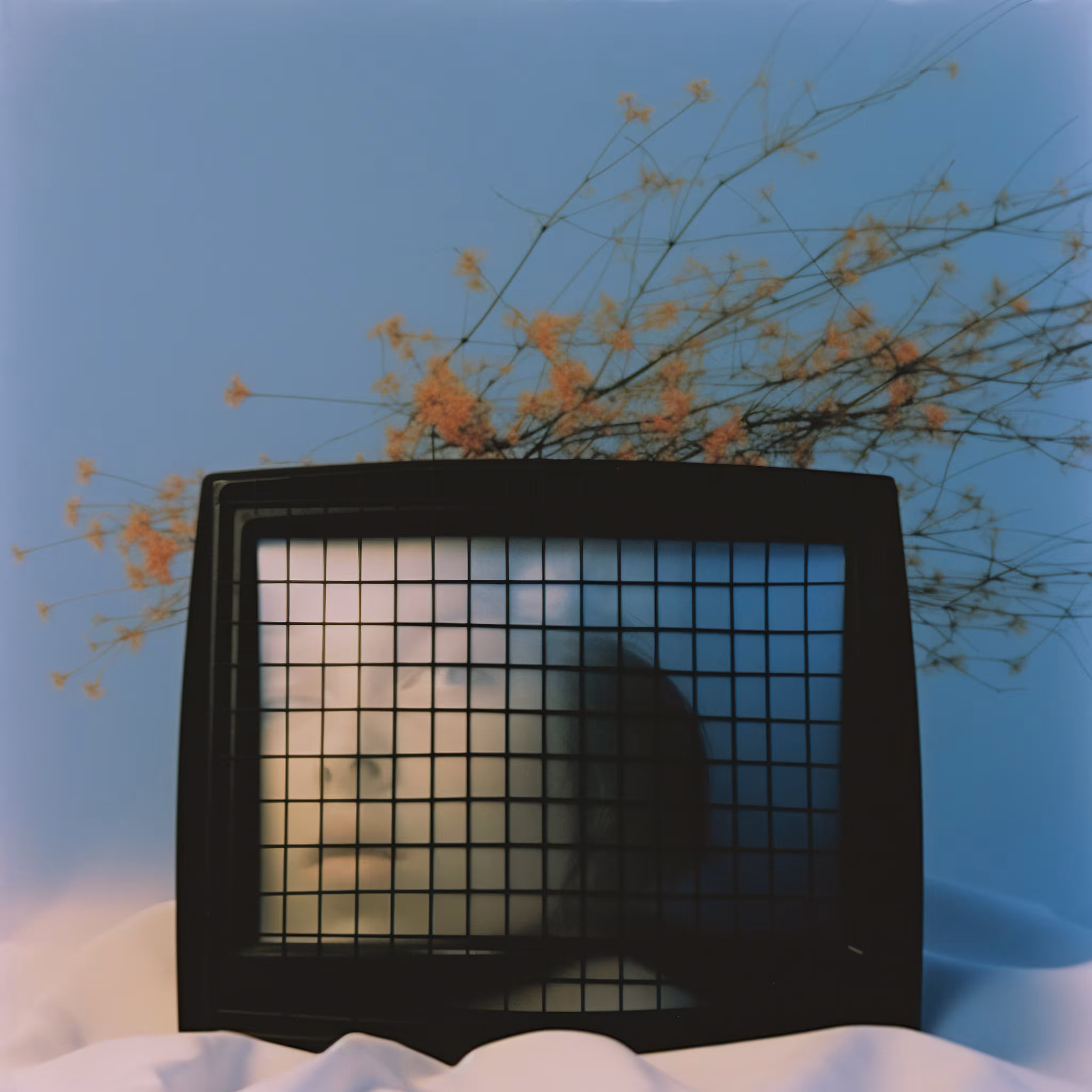 Object glass cage