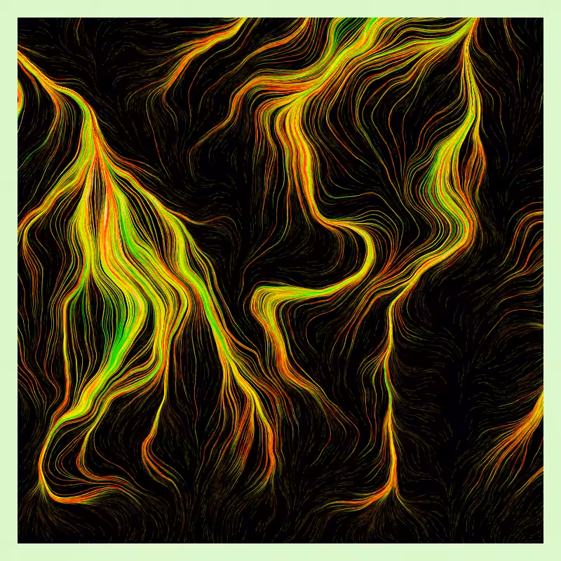 Roots #6