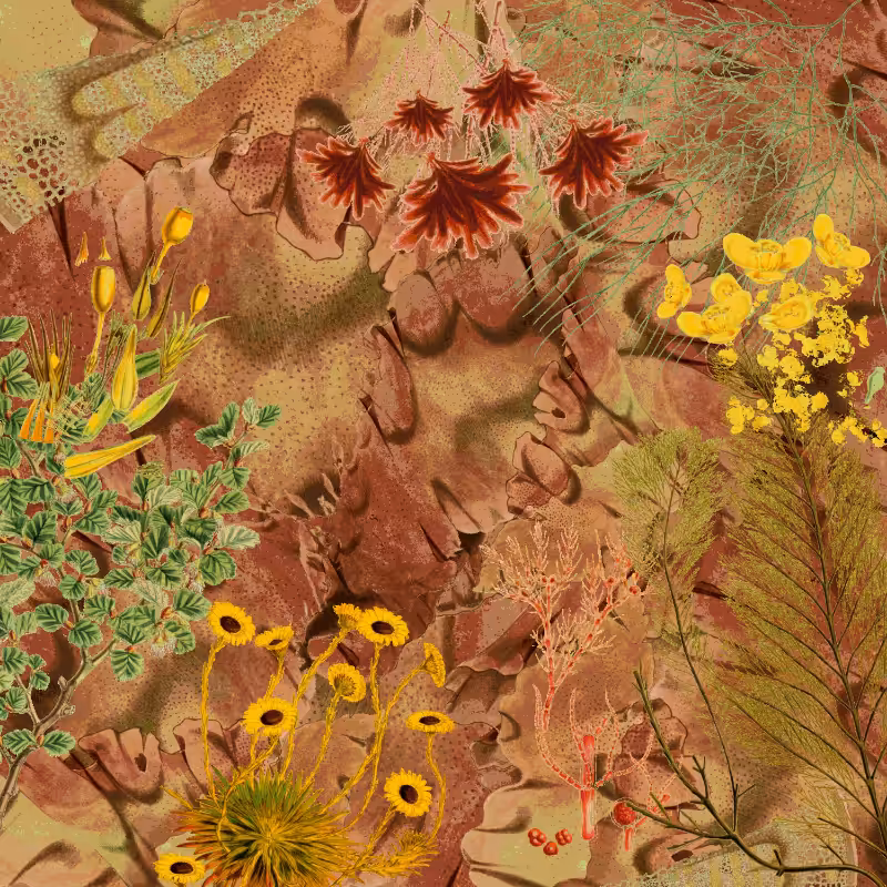 future flora from Antarctica's past #64