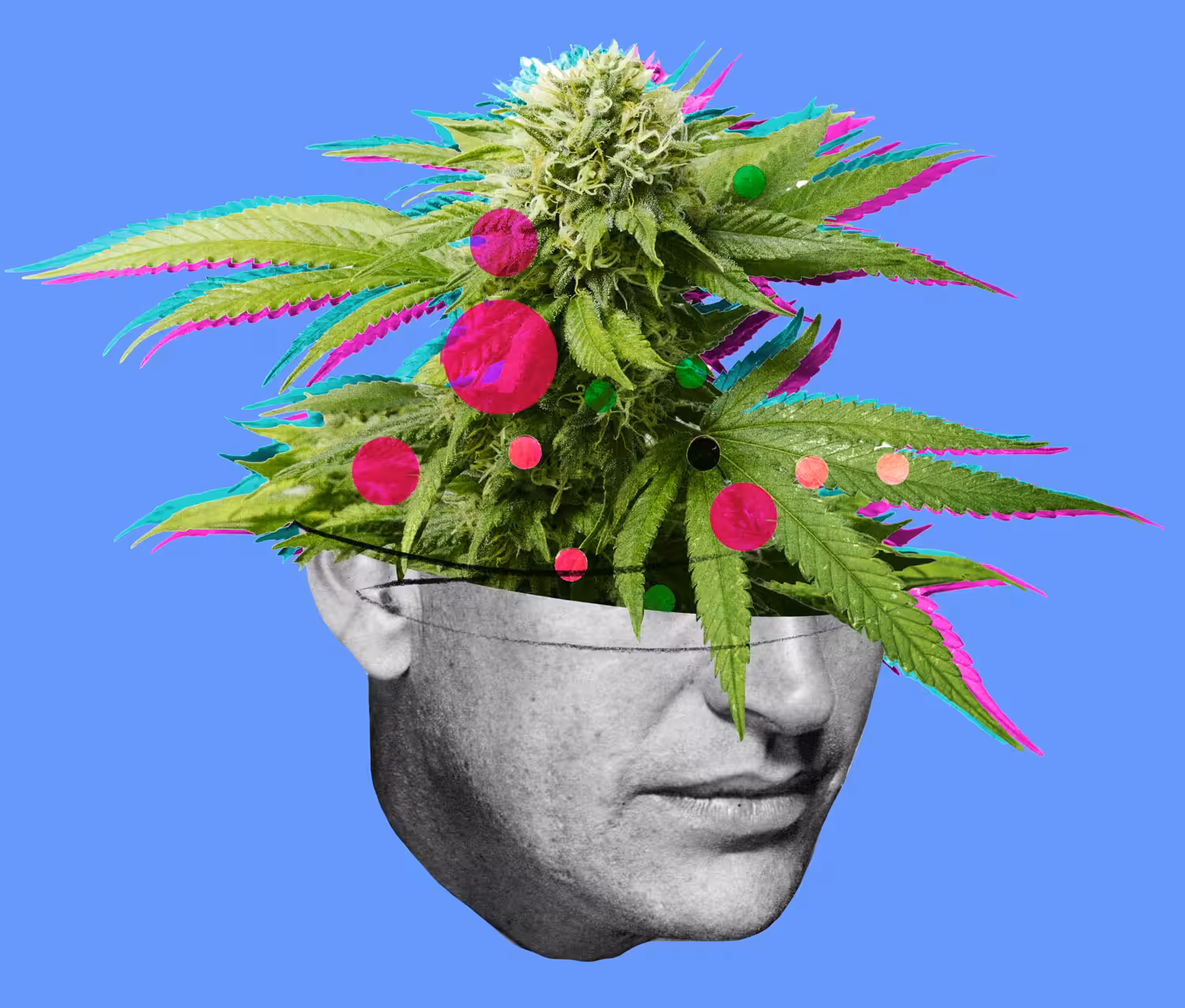 Pothead.