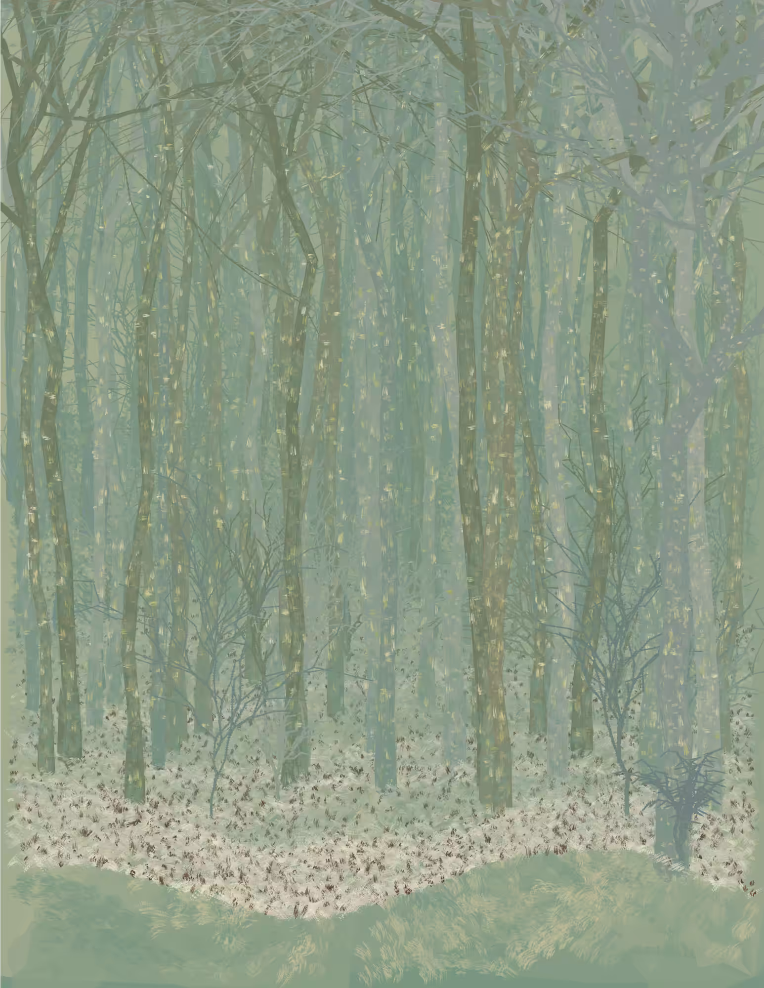 Deep Forest #247