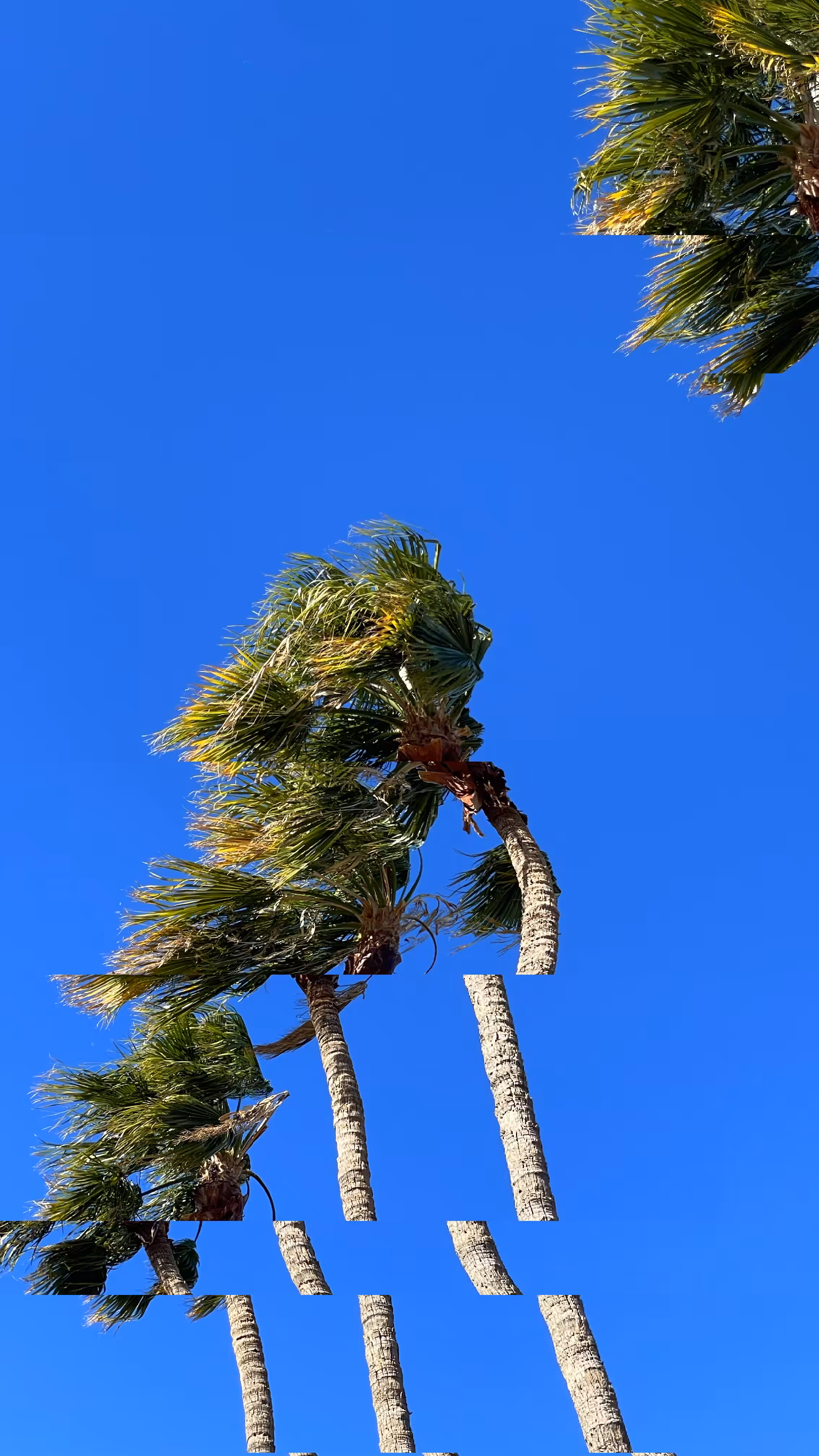 Gusts