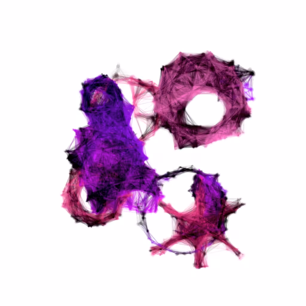 physarealm #27