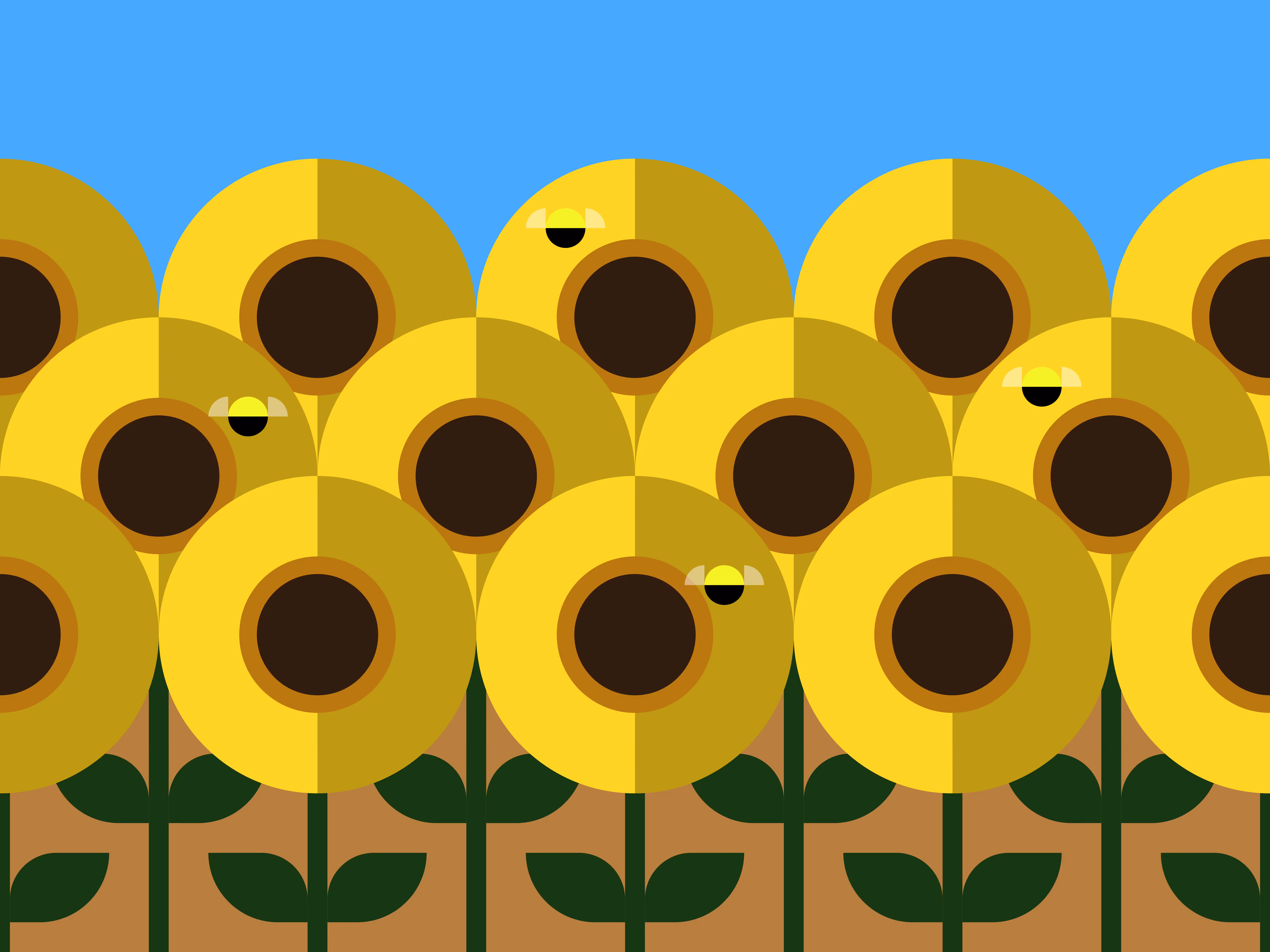 Sunflowers 