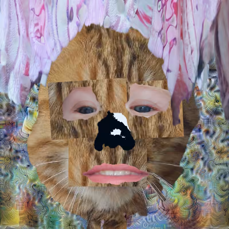 A collage of collages #329