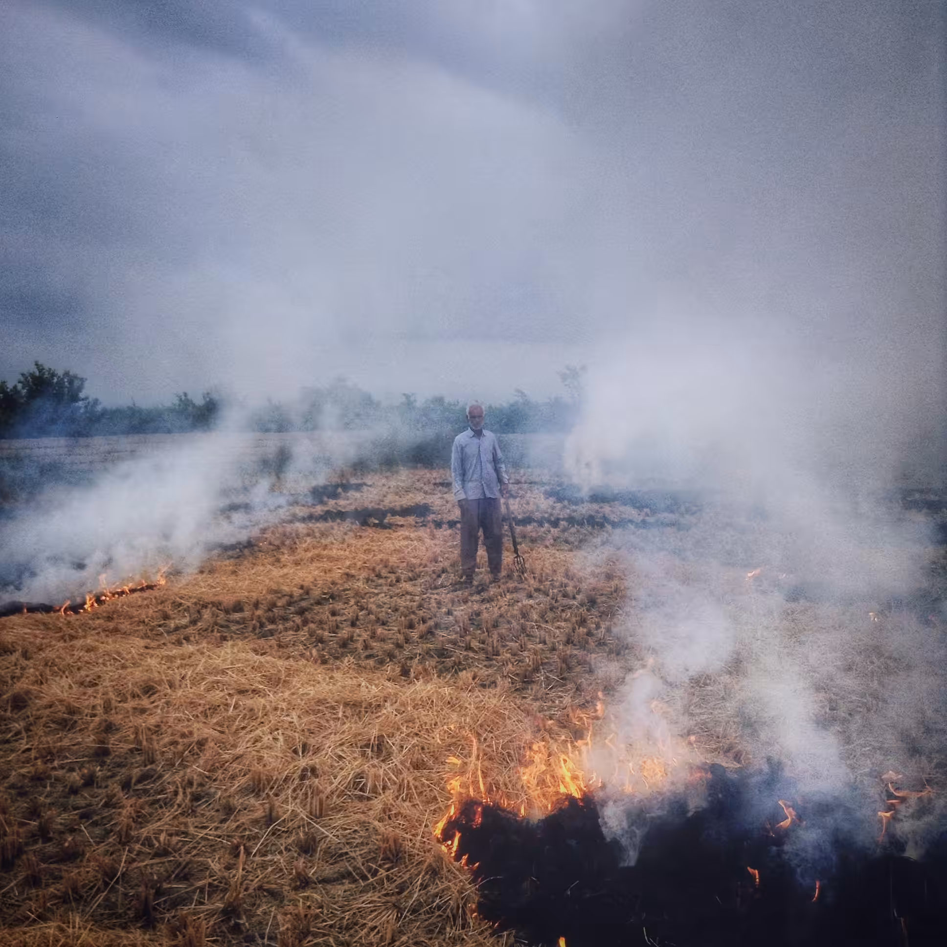 My farm is burning on fire