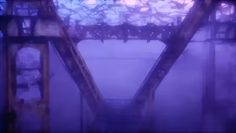 DX01: SINGULARITY 34149