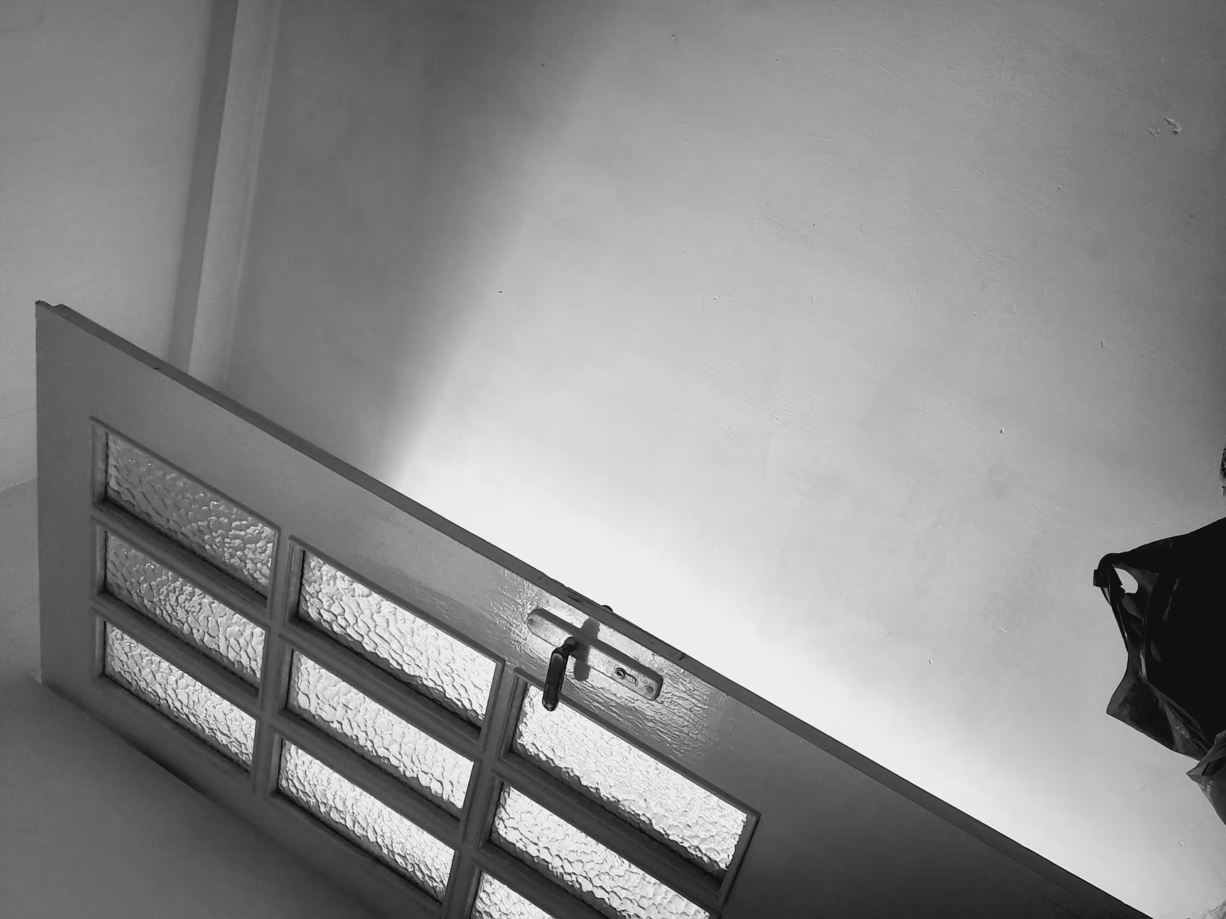 Light 