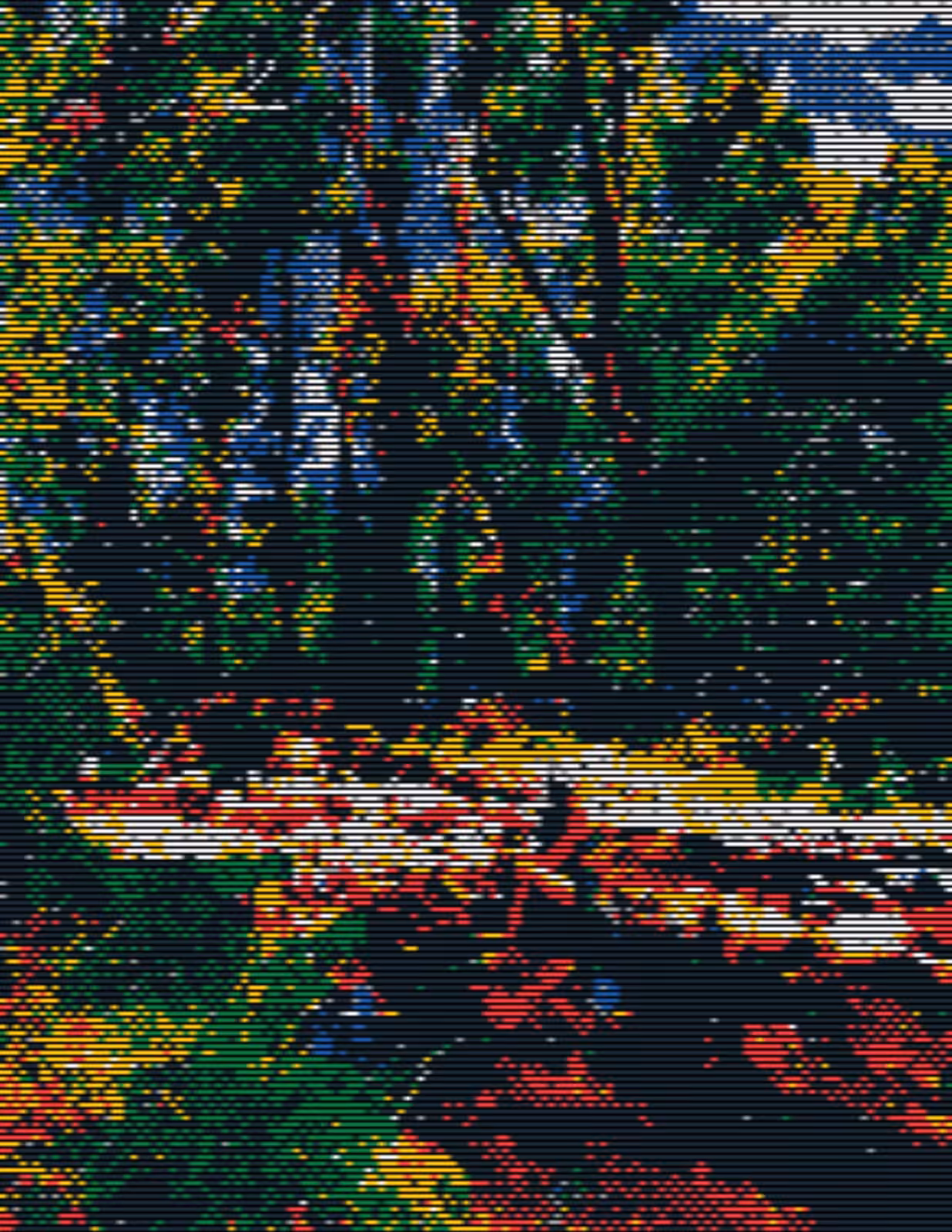 Sunshine in the forest 