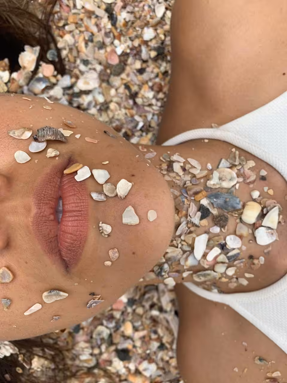 Broken shells #2