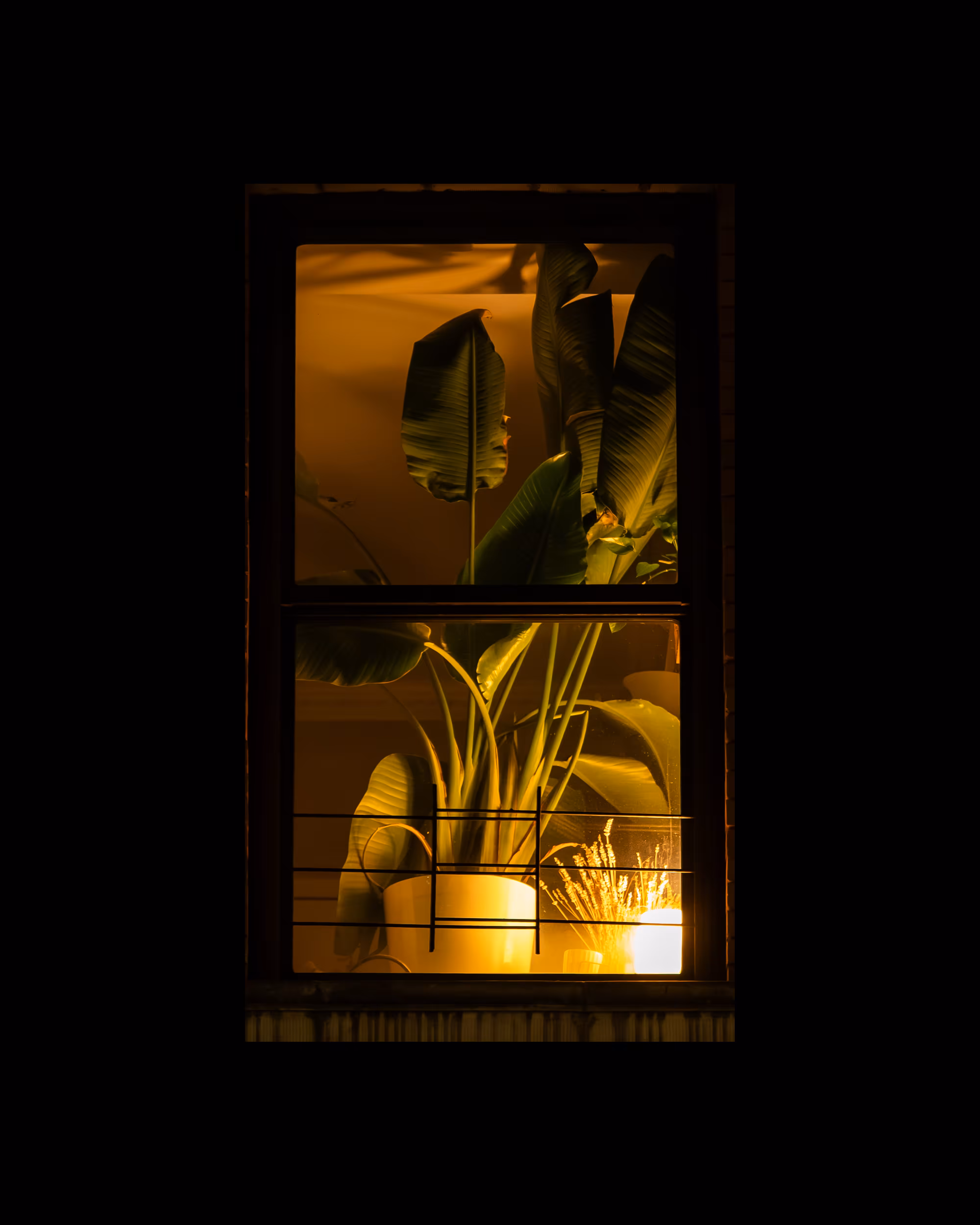 WINDOWS // NYC: WINDOW 746