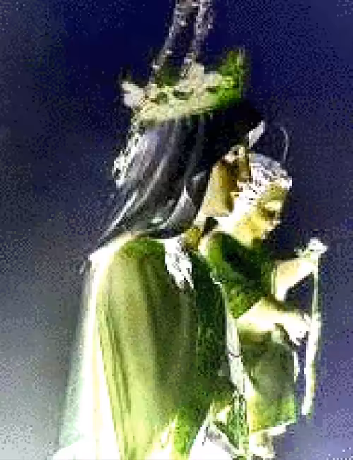 暗号通貨の聖母(OUR LADY OF CRYPTO)