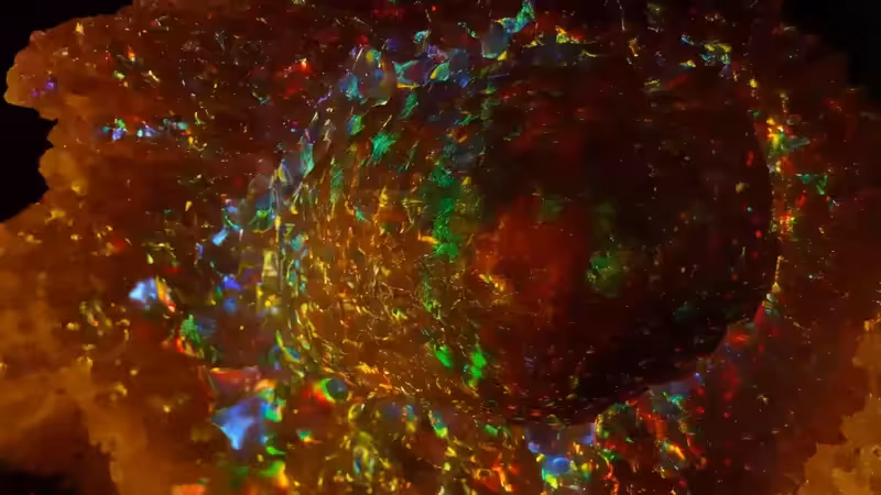 DX01: SINGULARITY 10244