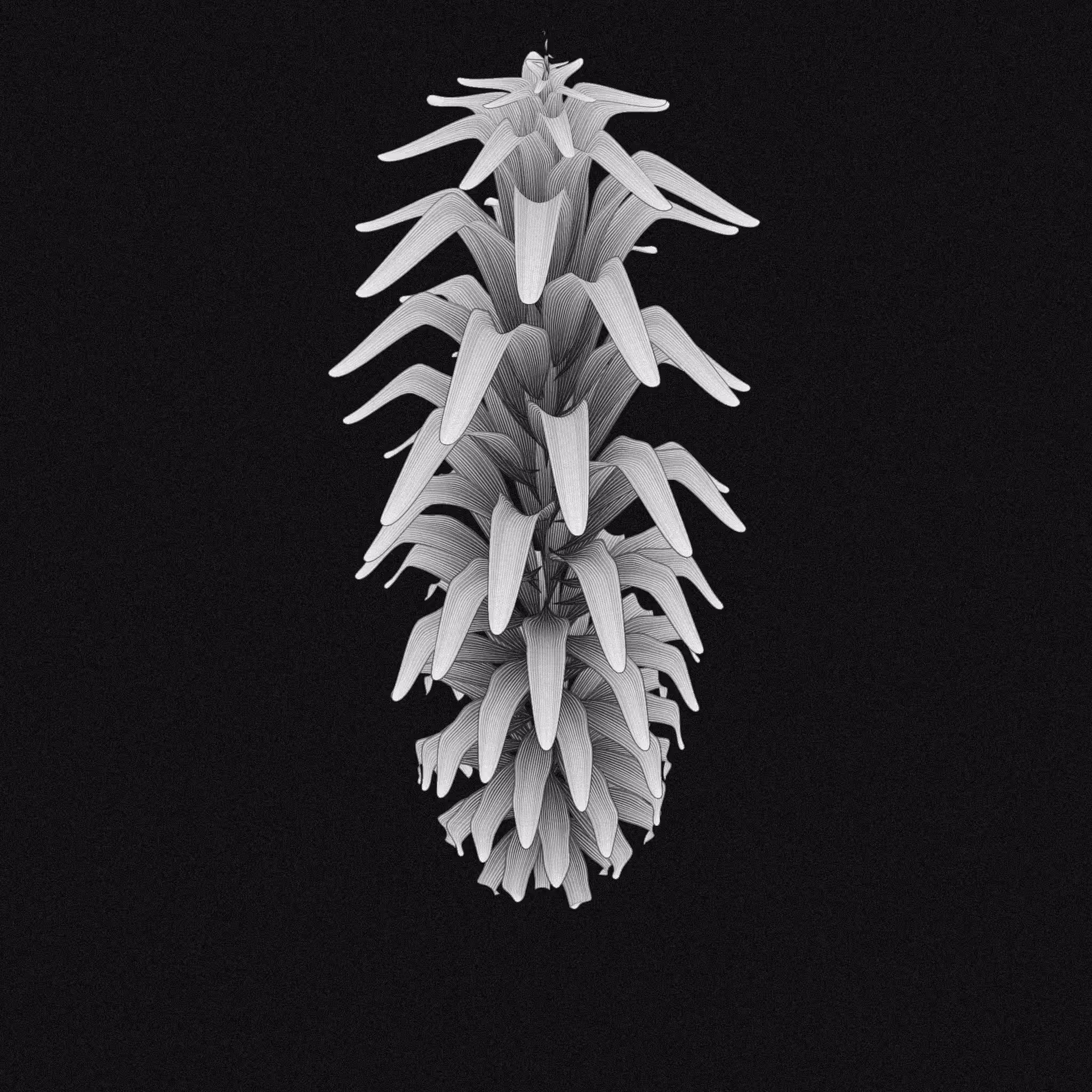plant #27