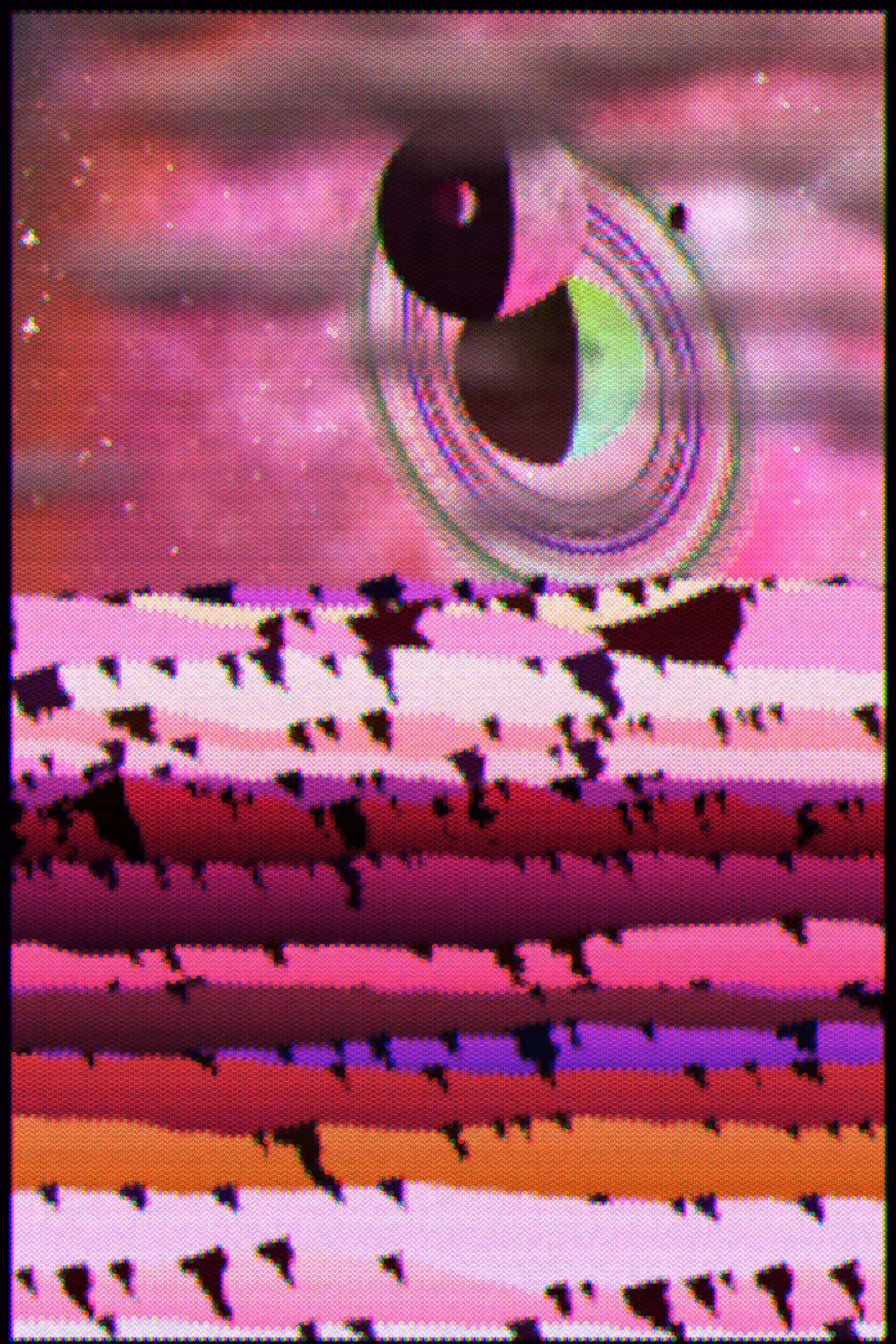 Gradient Ascent #162