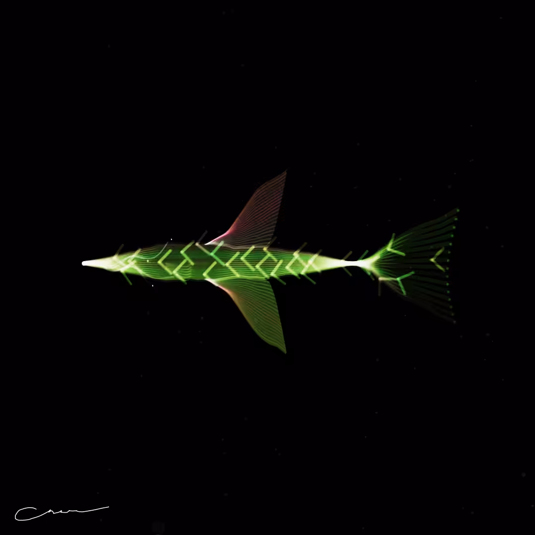 SoulFish #31